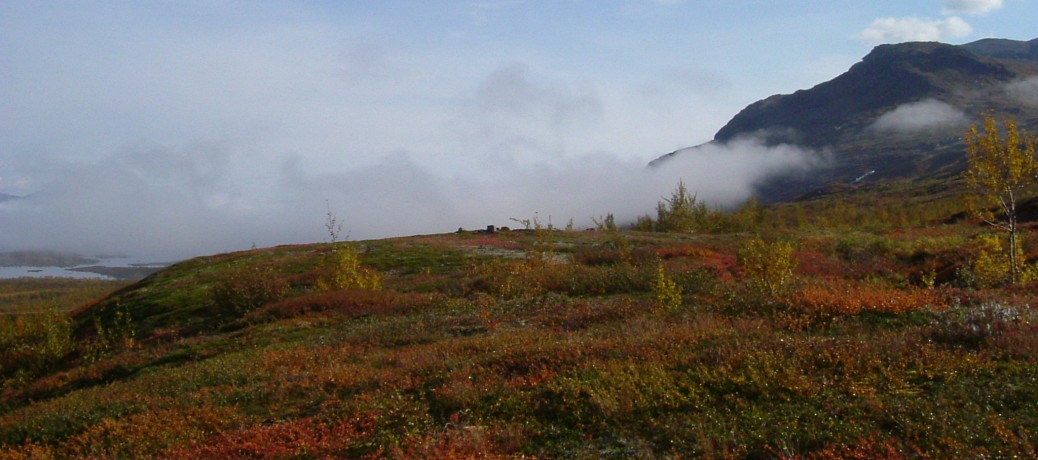 Vandring i Härjedalsfjällen