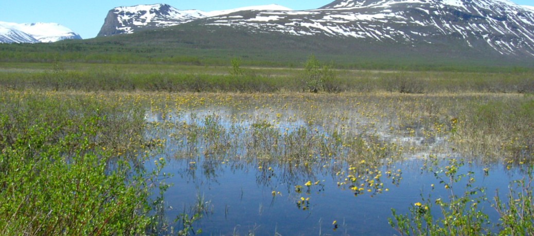 Vandring i Lapplandsfjällen