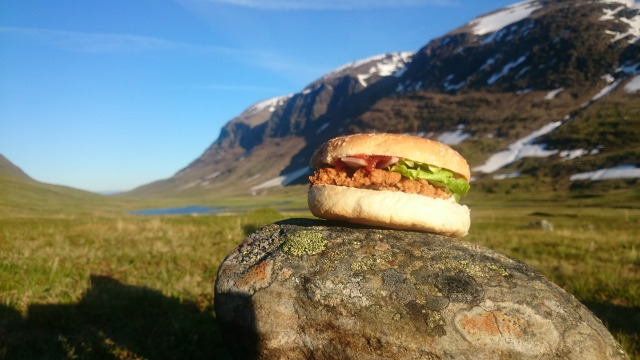 Fjällburgare