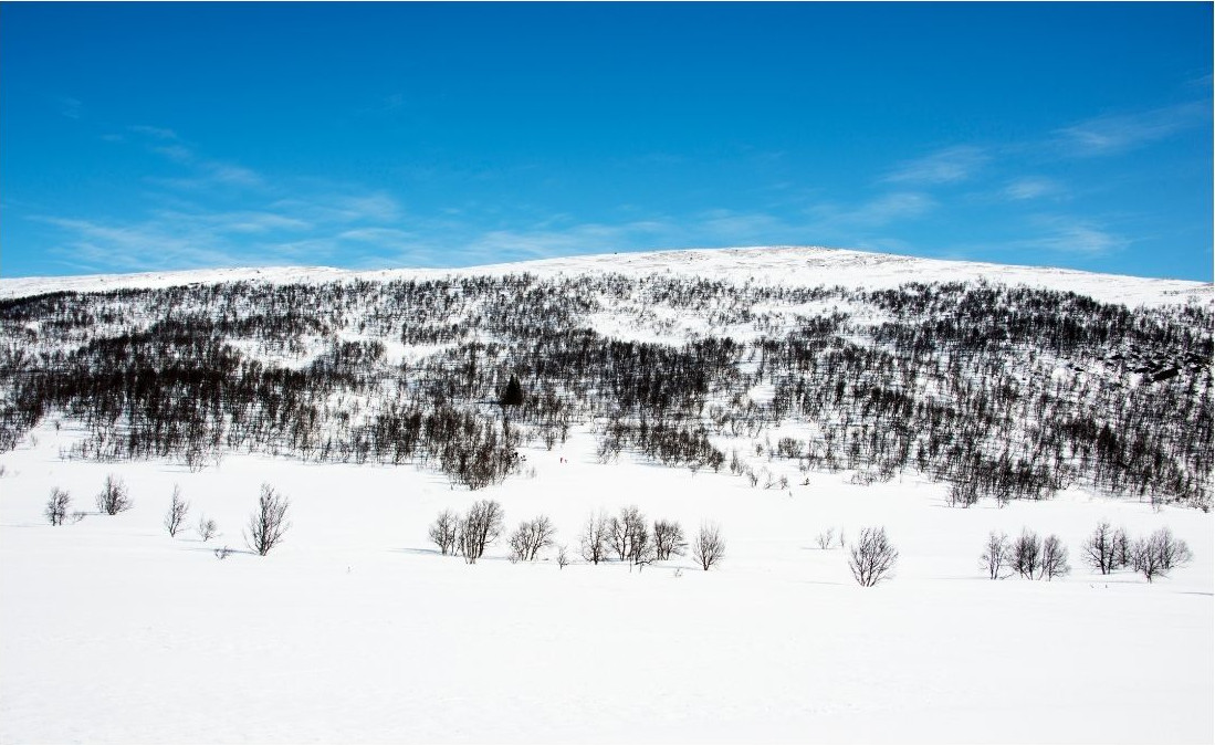 Vackert snölandskap i Ramundberget, Funäsfjällen