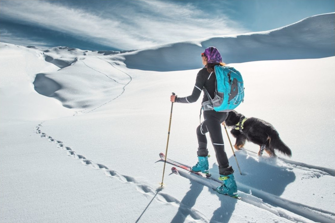 turskidåkare med hund på soligt kalfjäll