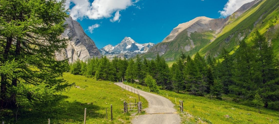 Grossglockner alptopp i bakgrunden, Österrikes högsta bergstopp