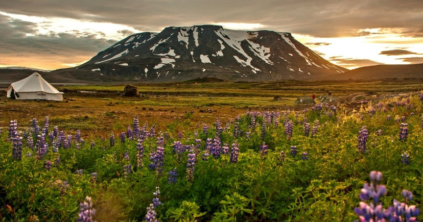 Midnattssolen i fjällen, 2022