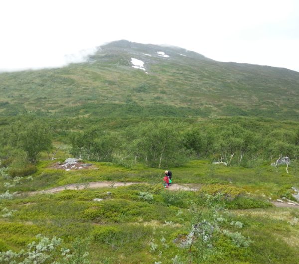 Getryggens topp i molnen