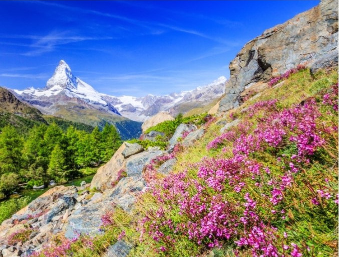 vacker sommarbild från Zermatt med Matterhorn i bakgrunden