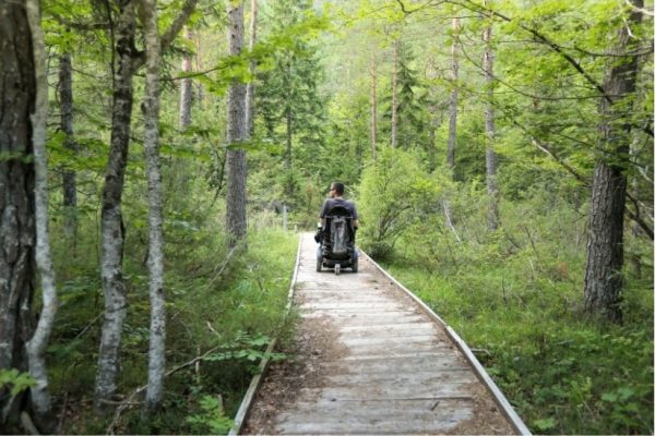 handikappanpassad vandringsled i ett naturreservat