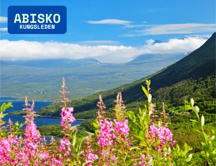 vacker utsikt från Abisko, start (eller mål) på Kungsleden