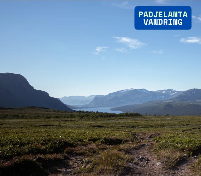 padjelanta fjällvandring solig sommardag juli 2024