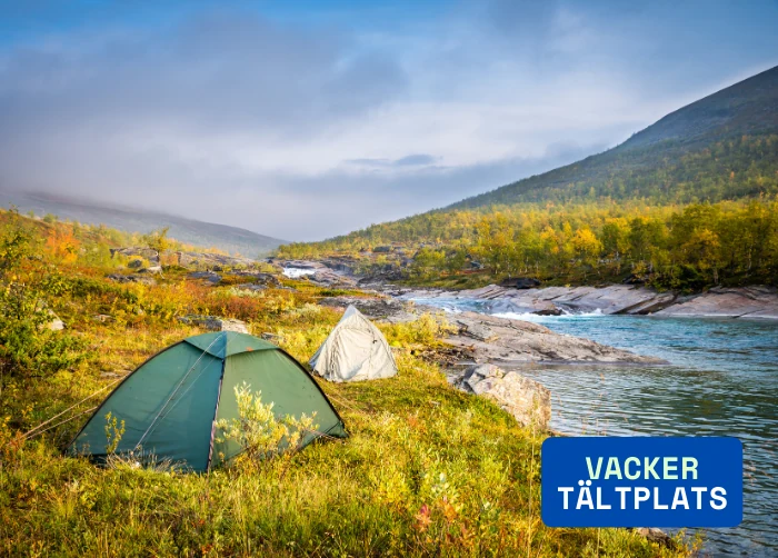 slagit upp tältet bredvid vattnet i stora sjöfallets nationalpark, sista veckan i augusti 2023