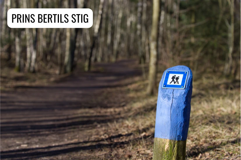 markering att följa längs Prins Bertils Stig