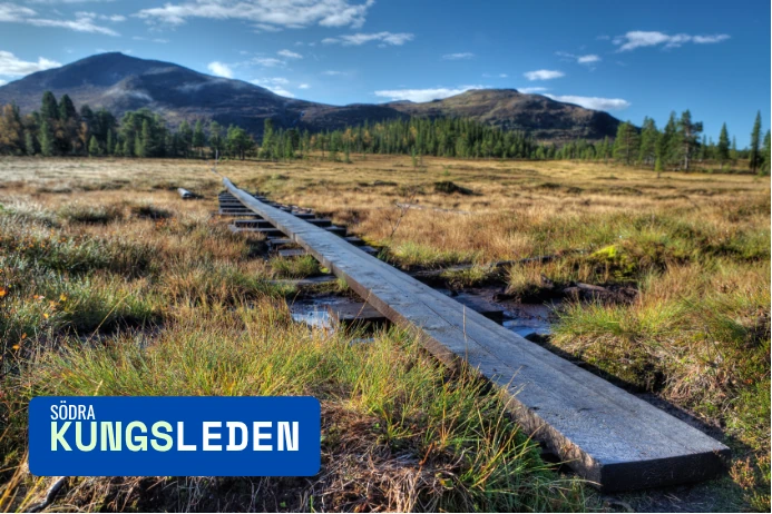 vandringsspång längs södra kungsleden