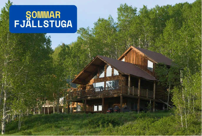 stort sommarhus uthyres i svenska fjällen