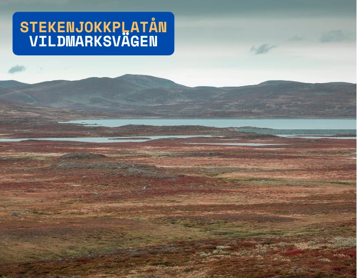 stekenjokkplatån längs med vildmarksvägen i lappland, sverige