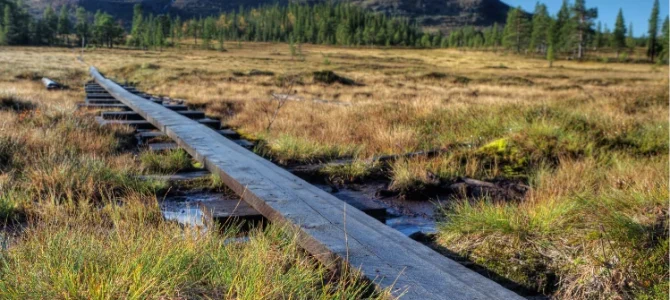 Fjällvandra i september – kanske bästa månaden?