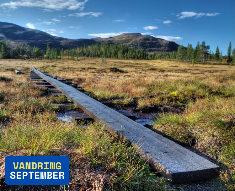 fjällvandring i september, foto visar spänger över en myr och fjälltoppar i bakgrunden, himlen är klarblå med några enstaka molnsvep